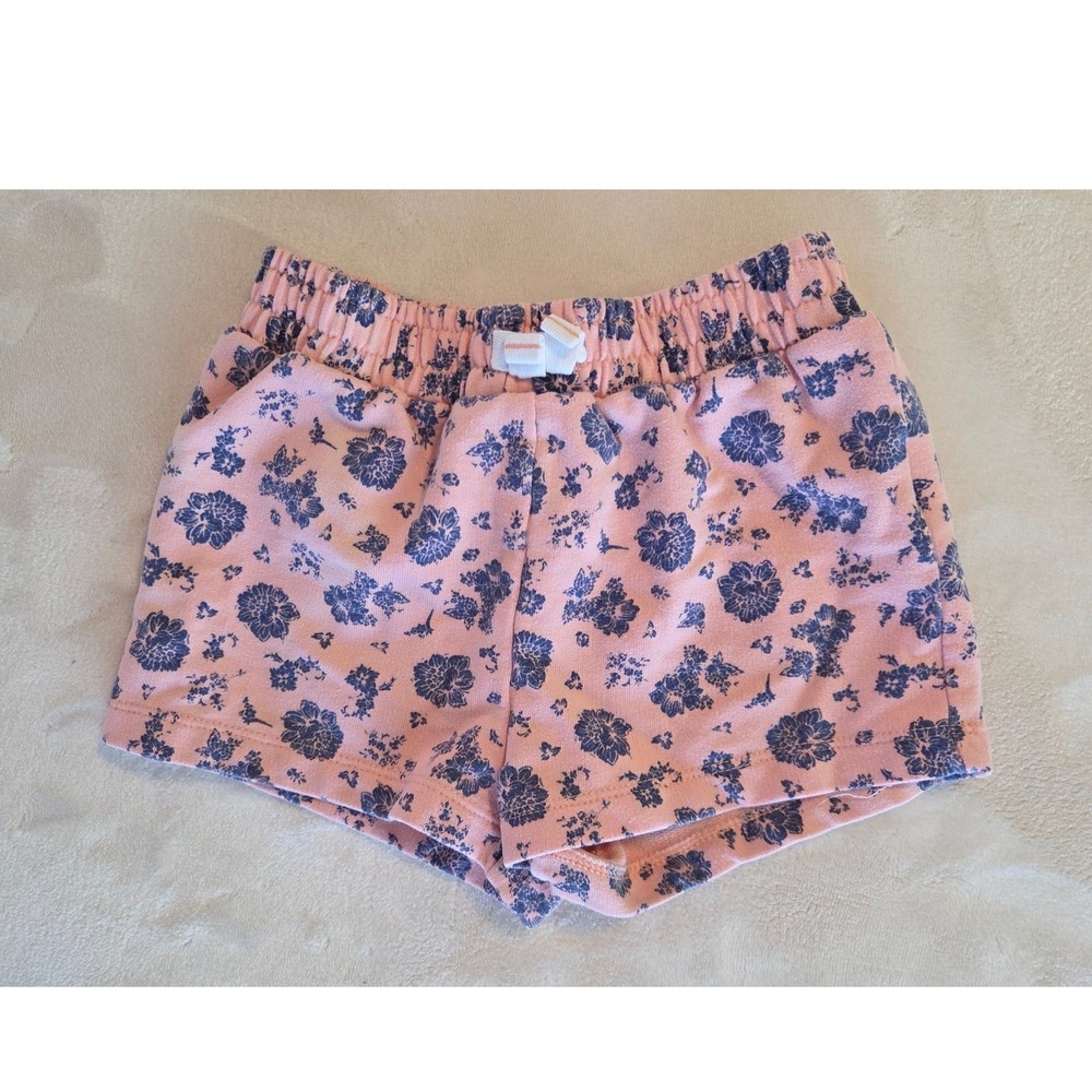 Lucky Brand‎ Girls Floral Shorts Size 4T Pink Blue Elastic Waist Summer Outfit